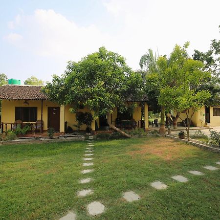 Bardia Eco Friendly Homestay Bardiya Esterno foto