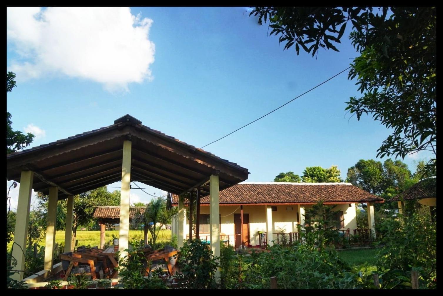 Bardia Eco Friendly Homestay Bardiya Esterno foto