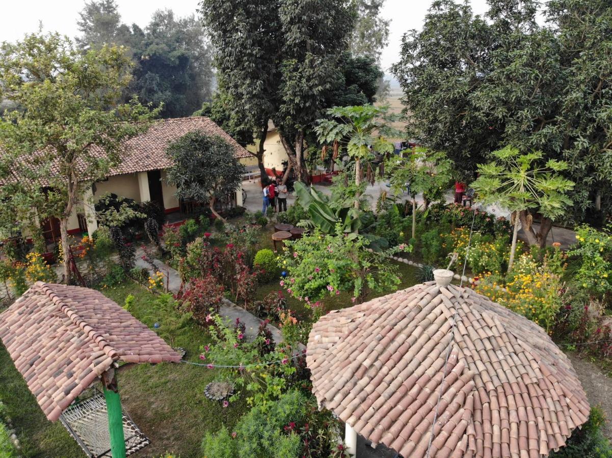 Bardia Eco Friendly Homestay Bardiya Esterno foto