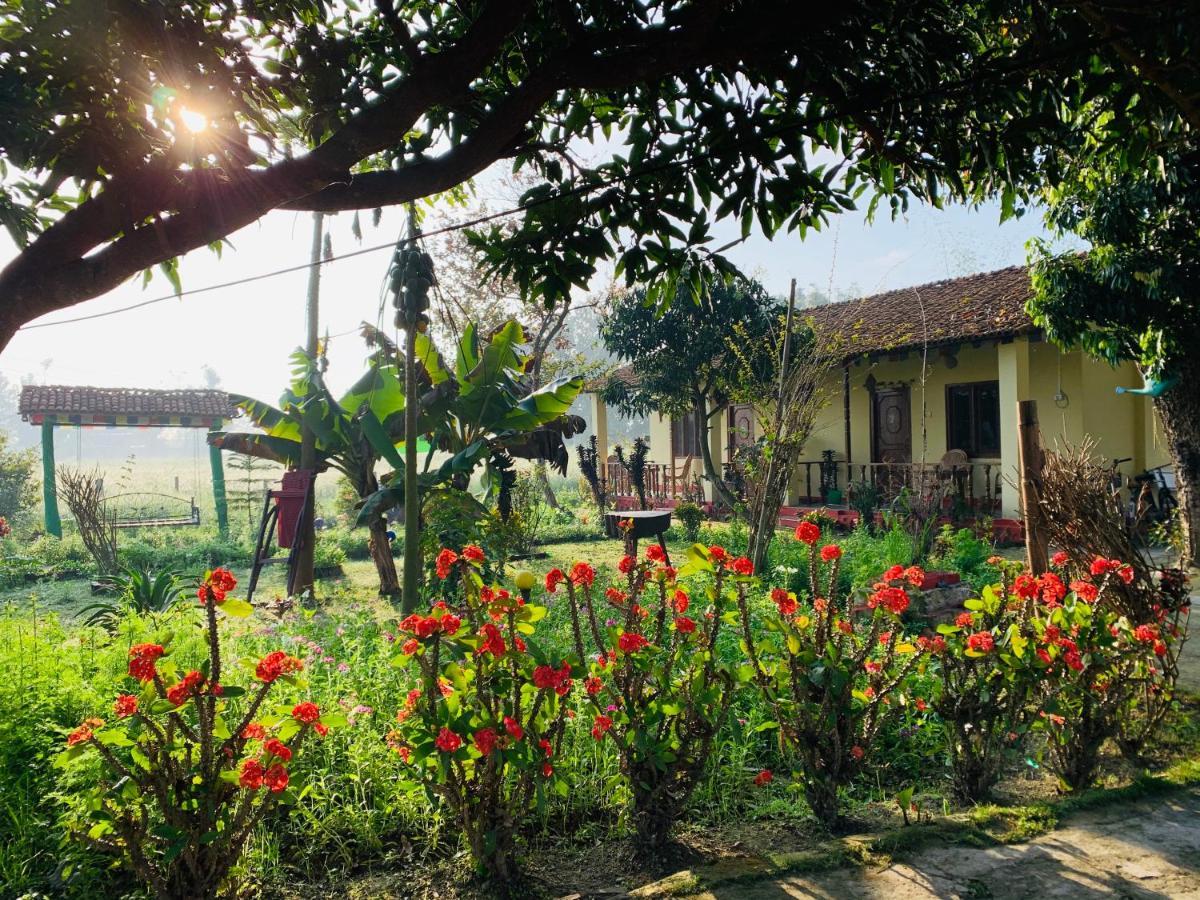 Bardia Eco Friendly Homestay Bardiya Esterno foto
